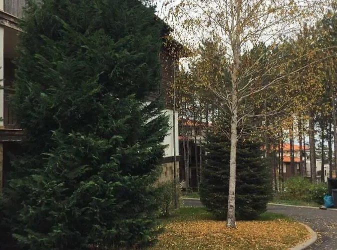 Апартамент Santa Marina 513